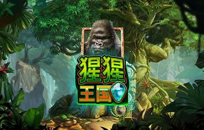 云开平台app最新版